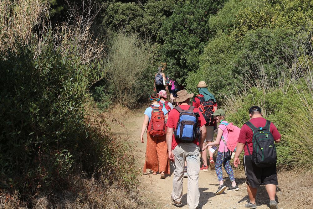 Unterschiedliche Menschen wandern durch einen Wald.